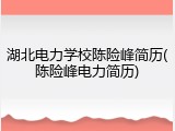 湖北电力学校陈险峰简历(陈险峰电力简历)