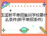 玉溪新平单招集训学校要什么条件(新平单招条件)