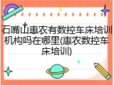 石嘴山惠农有数控车床培训机构吗在哪里(惠农数控车床培训)