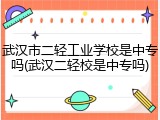 武汉市二轻工业学校是中专吗(武汉二轻校是中专吗)