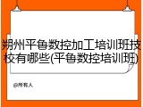 朔州平鲁数控加工培训班技校有哪些(平鲁数控培训班)