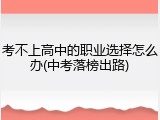 考不上高中的职业选择怎么办(中考落榜出路)