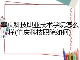 肇庆科技职业技术学院怎么样(肇庆科技职院如何)