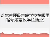哈尔滨顶级贵族学校在哪里(哈尔滨贵族学校地址)