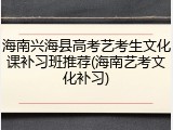 海南兴海县高考艺考生文化课补习班推荐(海南艺考文化补习)