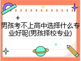 男孩考不上高中选择什么专业好呢(男孩择校专业)