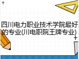 四川电力职业技术学院最好的专业(川电职院王牌专业)