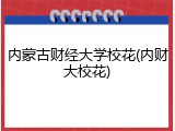 内蒙古财经大学校花(内财大校花)