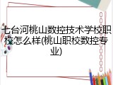 七台河桃山数控技术学校职校怎么样(桃山职校数控专业)