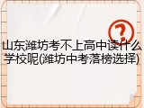 山东潍坊考不上高中读什么学校呢(潍坊中考落榜选择)