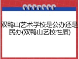 双鸭山艺术学校是公办还是民办(双鸭山艺校性质)