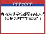 青岛为明学校都是有钱人吗(青岛为明学生家境？)