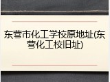 东营市化工学校原地址(东营化工校旧址)