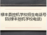 禄丰县挖机学校招生电话号码(禄丰挖机学校电话)