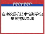 宿豫挖掘机技术培训学校(宿豫挖机培训)