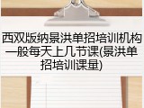 西双版纳景洪单招培训机构一般每天上几节课(景洪单招培训课量)