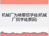 机械厂为啥要招学徒(机械厂招学徒原因)