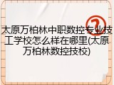 太原万柏林中职数控专业技工学校怎么样在哪里(太原万柏林数控技校)