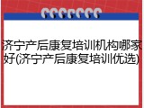 济宁产后康复培训机构哪家好(济宁产后康复培训优选)