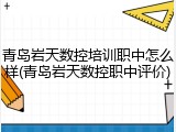 青岛岩天数控培训职中怎么样(青岛岩天数控职中评价)