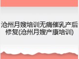 沧州月嫂培训无痛催乳产后修复(沧州月嫂产康培训)