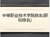 中等职业技术学院排名(职校排名)