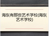 海东有那些艺术学校(海东艺术学校)