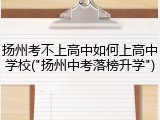 扬州考不上高中如何上高中学校("扬州中考落榜升学")