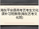 海东平安县高考艺考生文化课补习班推荐(海东艺考文化班)
