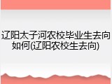 辽阳太子河农校毕业生去向如何(辽阳农校生去向)