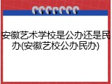 安徽艺术学校是公办还是民办(安徽艺校公办民办)