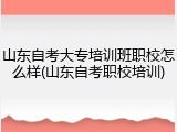 山东自考大专培训班职校怎么样(山东自考职校培训)