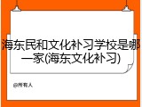海东民和文化补习学校是哪一家(海东文化补习)