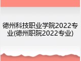 德州科技职业学院2022专业(德州职院2022专业)
