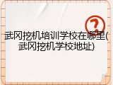 武冈挖机培训学校在哪里(武冈挖机学校地址)