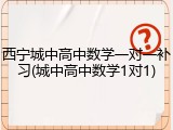西宁城中高中数学一对一补习(城中高中数学1对1)