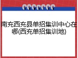 南充西充县单招集训中心在哪(西充单招集训地)