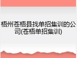 梧州苍梧县找单招集训的公司(苍梧单招集训)