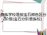 贵族学校是按宝石颜色区分阶级(宝石分阶贵族校)