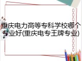 重庆电力高等专科学校哪个专业好(重庆电专王牌专业)
