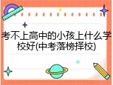考不上高中的小孩上什么学校好(中考落榜择校)
