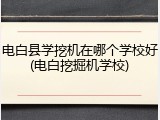 电白县学挖机在哪个学校好(电白挖掘机学校)