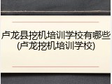 卢龙县挖机培训学校有哪些(卢龙挖机培训学校)