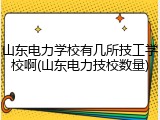 山东电力学校有几所技工学校啊(山东电力技校数量)