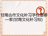 甘南合作文化补习学校是哪一家(甘南文化补习校)