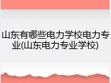 山东有哪些电力学校电力专业(山东电力专业学校)