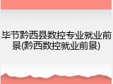 毕节黔西县数控专业就业前景(黔西数控就业前景)