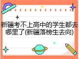 新疆考不上高中的学生都去哪里了(新疆落榜生去向)