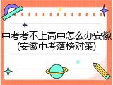 中考考不上高中怎么办安徽(安徽中考落榜对策)
