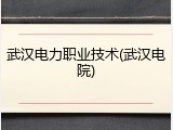 武汉电力职业技术(武汉电院)